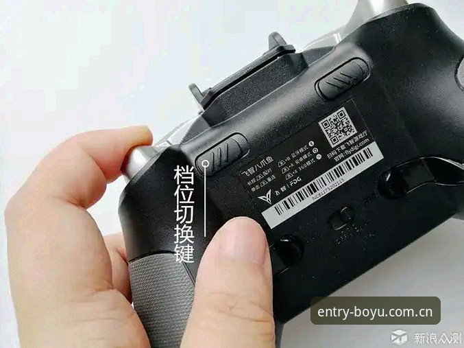 博鱼体育官网电竞水位数据分析实战操作教程